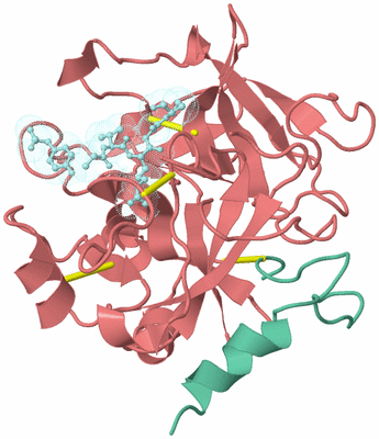 Image Biological Unit 1