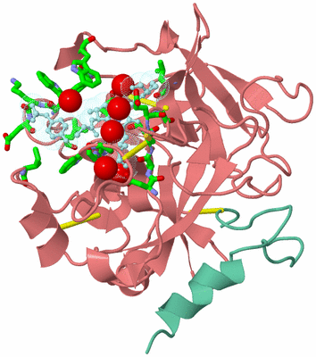 Image Biol. Unit 1 - sites
