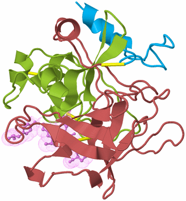 Image Biological Unit 2