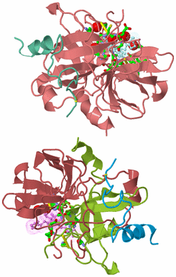 Image Asym. Unit - sites