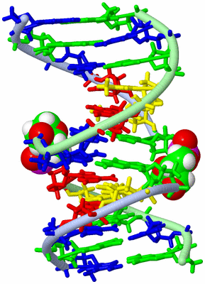 Image NMR Structure - model 1