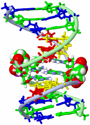 Image NMR Structure - model 1, sites