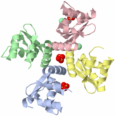 Image Biological Unit 1