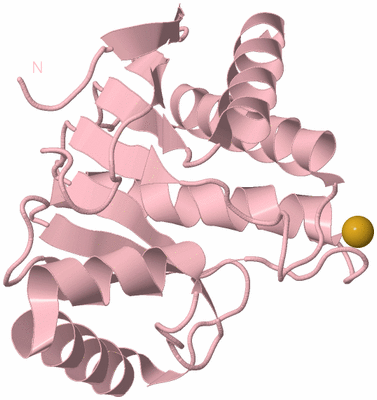 Image Biological Unit 3