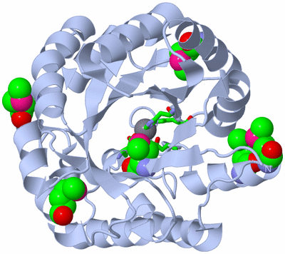 Image Biol. Unit 1 - sites