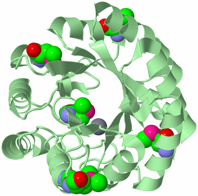 Image Biological Unit 2