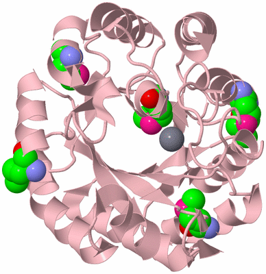 Image Biological Unit 3