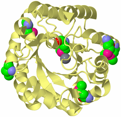 Image Biological Unit 4