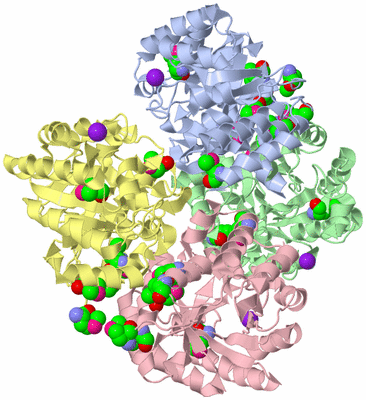 Image Biological Unit 3