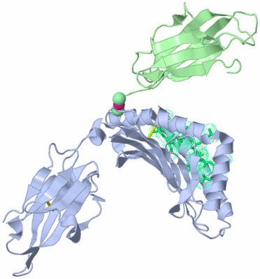 Image Biological Unit 2