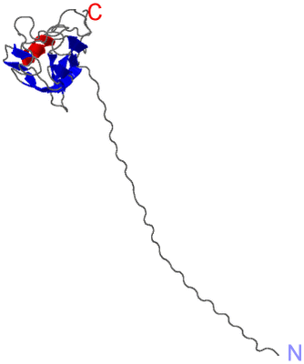 Image NMR Structure - model 1