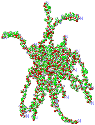 Image NMR Structure - all models