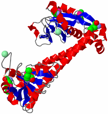 Image Asym./Biol. Unit