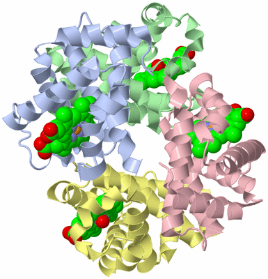 Image Asym./Biol. Unit