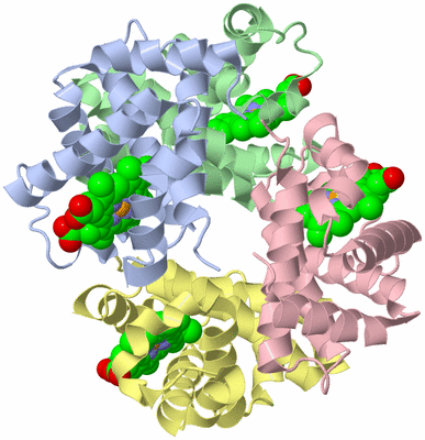 Image Asym./Biol. Unit