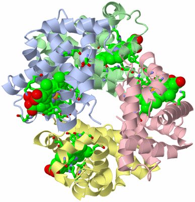 Image Asym./Biol. Unit - sites