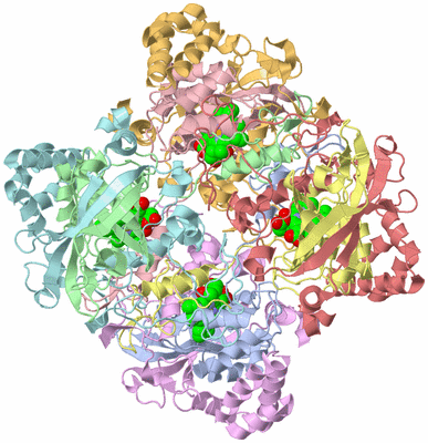 Image Biological Unit 1