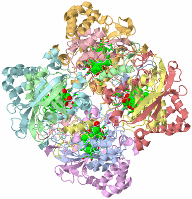 Image Biol. Unit 1 - sites