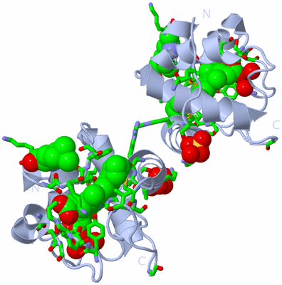 Image Biol. Unit 1 - sites