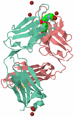 Image Biological Unit 1