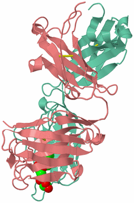 Image Biological Unit 1