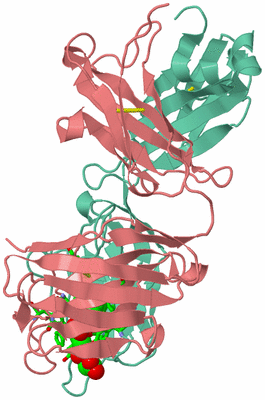 Image Biol. Unit 1 - sites