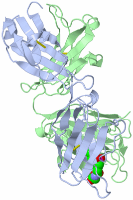 Image Biological Unit 2