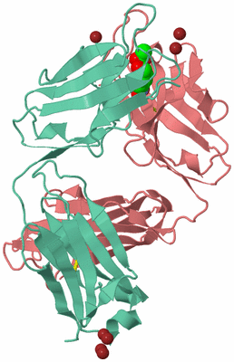 Image Asymmetric Unit