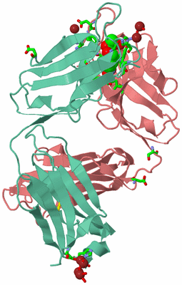 Image Asym. Unit - sites