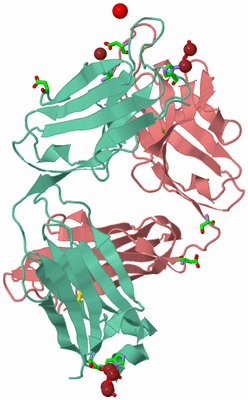 Image Biol. Unit 1 - sites