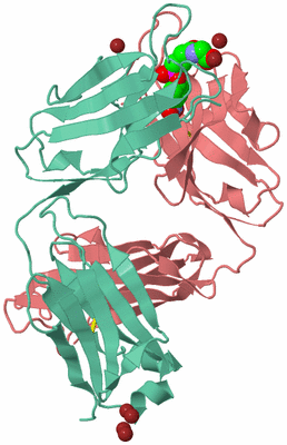 Image Asymmetric Unit