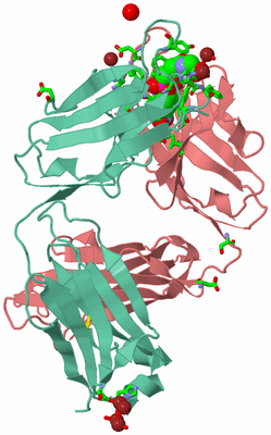 Image Biol. Unit 1 - sites