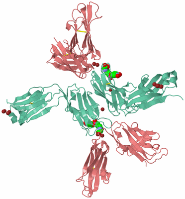 Image Biological Unit 2