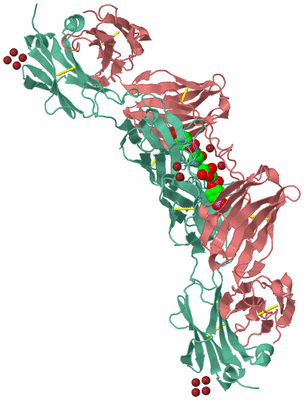 Image Biological Unit 3