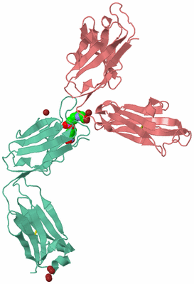 Image Biological Unit 4