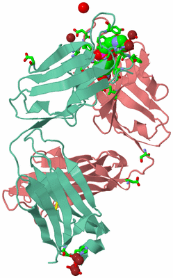 Image Asym. Unit - sites