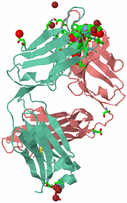 Image Asym./Biol. Unit - sites