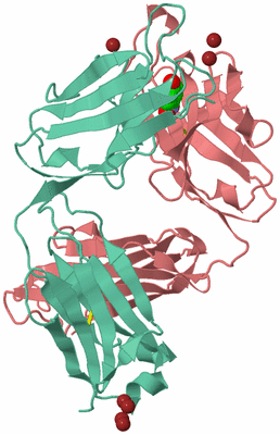 Image Asymmetric Unit