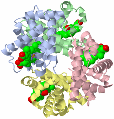 Image Asym./Biol. Unit