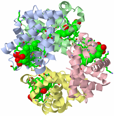 Image Asym./Biol. Unit - sites