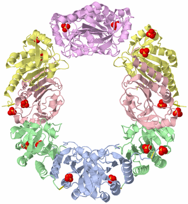 Image Biological Unit 1