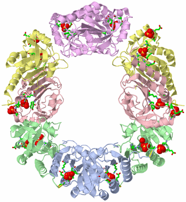 Image Biol. Unit 1 - sites