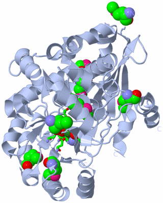 Image Biol. Unit 1 - sites