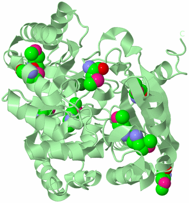 Image Biological Unit 2