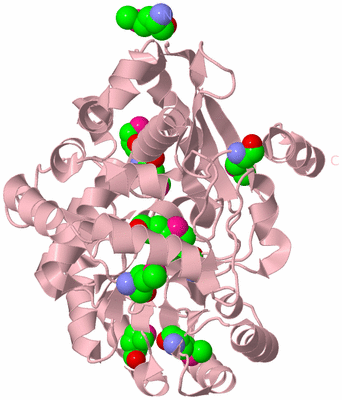 Image Biological Unit 3