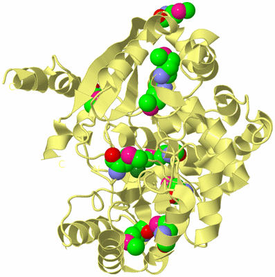 Image Biological Unit 4