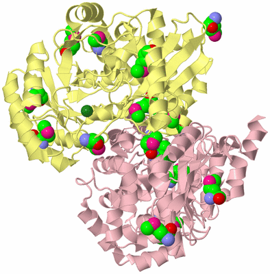 Image Biological Unit 5