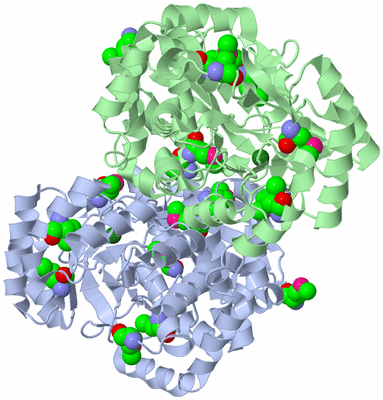 Image Biological Unit 6