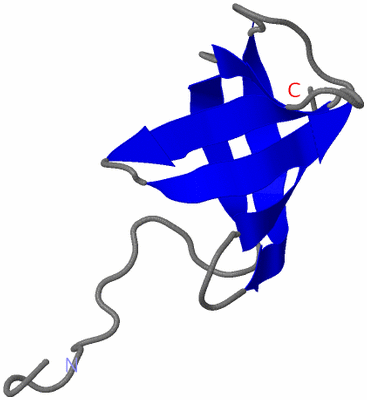 Image NMR Structure - model 1