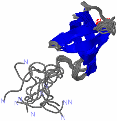 Image NMR Structure - all models